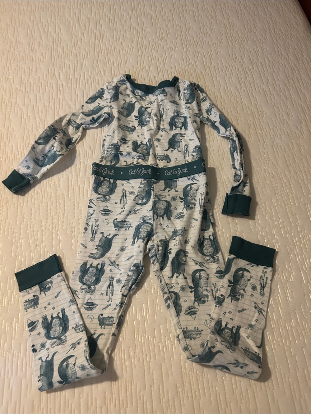 Cat & Jack Grey and Teal Wildlife Print Pajama Set